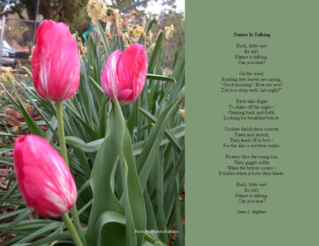 February photo and poem